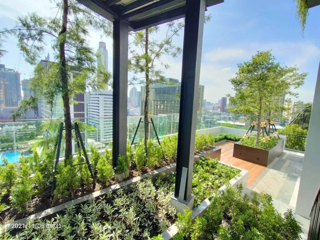 รูปโครงการ พาร์ค ออริจิ้น พร้อมพงษ์ (Park Origin Phrom Phong)