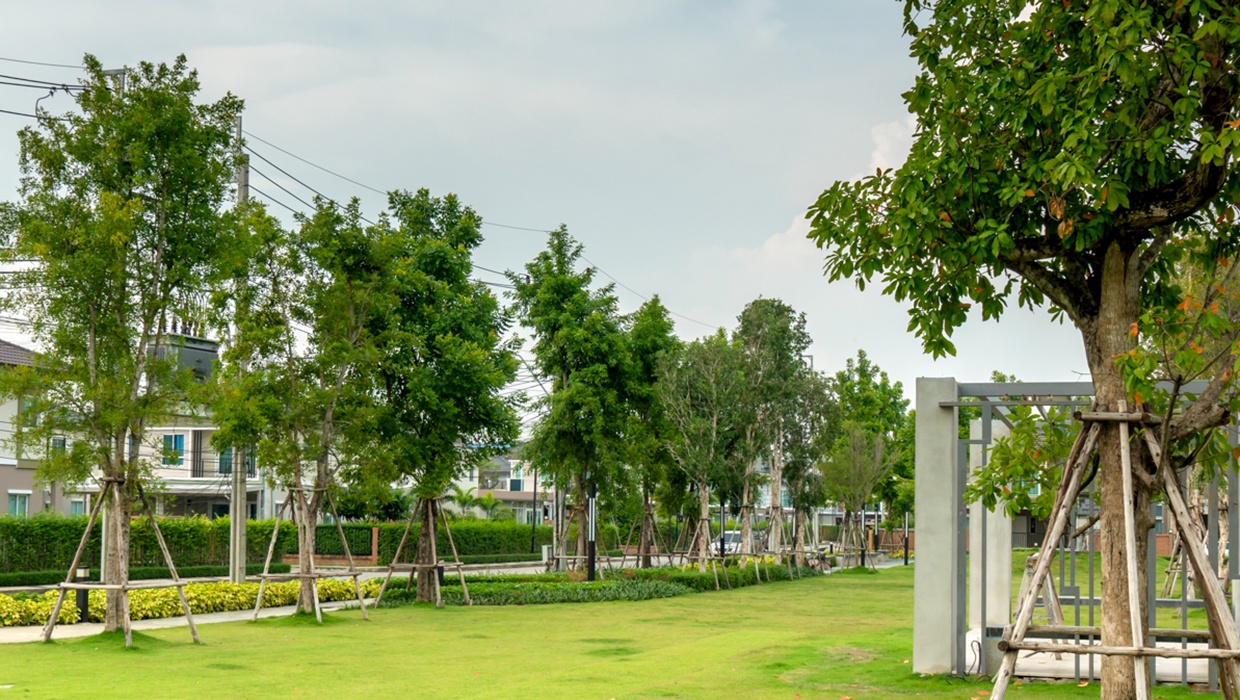 รูปโครงการ เดอะ แพลนท์ เทพารักษ์-บางนา (The Plant Thepharak-Bangna)