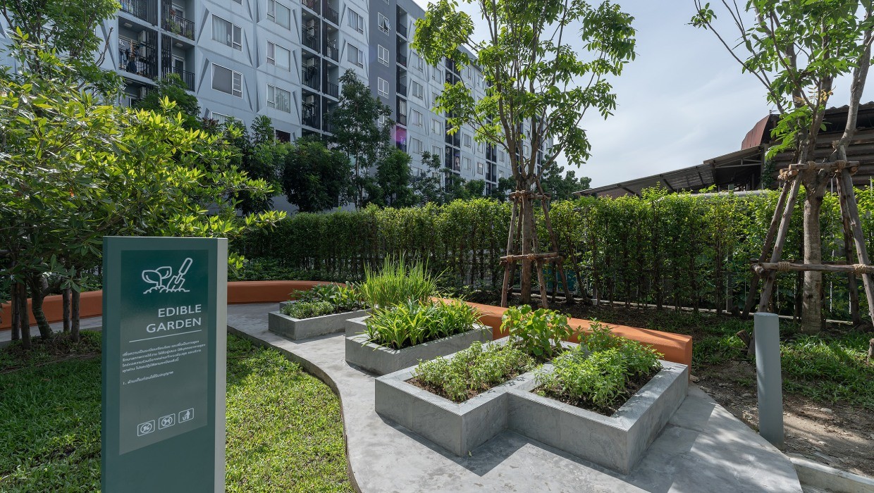 รูปโครงการ พลัมคอนโด พระราม 2 (Plum Condo Rama 2)