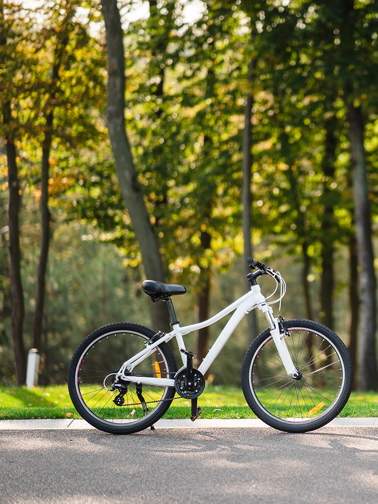 รูปโครงการ เนทูร่า เทรนด์ ประชาอุทิศ 90 (Natura Trend Prachauthit 90)