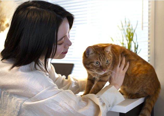 รูปโครงการ บ้านพฤกษา หนองมน-ชลบุรี 3 (Baan Pruksa Nongmon-Chonburi 3)