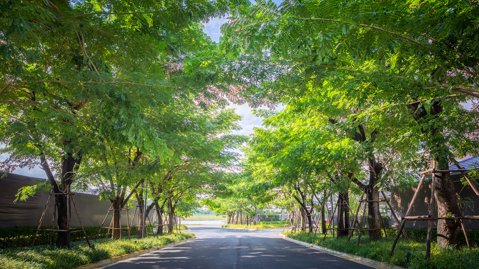 รูปโครงการ นันทวัน ซีรีนเลค เชียงใหม่ (NANTAWAN SERENE LAKE - CHIANG MAI)