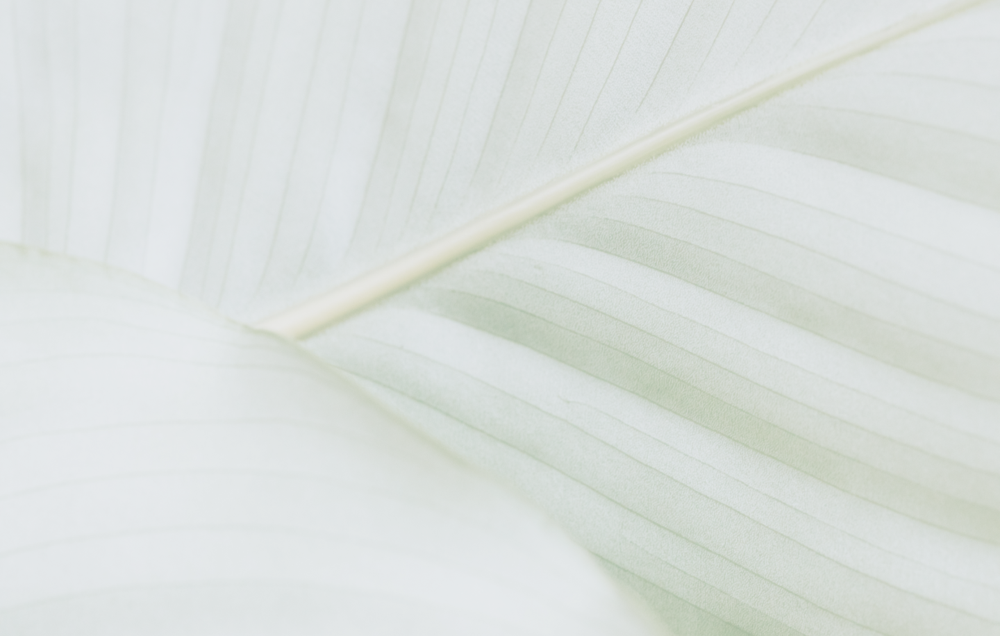 รูปโครงการ สีวลี อุดรธานี (Siwalee Udon Thani)