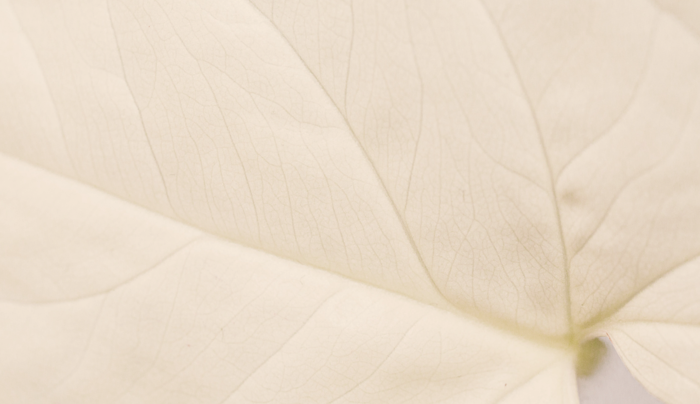 รูปโครงการ สีวลี อุดรธานี (Siwalee Udon Thani)