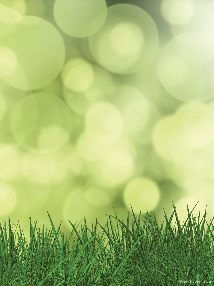 รูปโครงการ พฤกษาวิลล์ ดอนเมือง-สรงประภา (Pruksa Ville Donmuang-Songprapa)