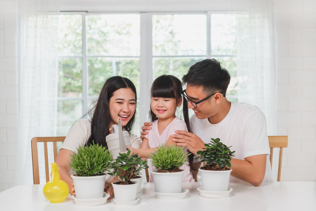 รูปโครงการ เดอะ คอนเนค บางนา-ศรีวารี (2) - ทาวน์โฮม (The Connect Bangna-Srivaree 2)